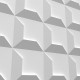 Plenüs - Betonni Creative 80m² (Promosyon)